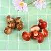 10Pcs/set 4cm Mini Fake Foam Mushroom Simulation Fruit and Vegetable Bonsai Ornaments Home Holiday Decoration Photography Props