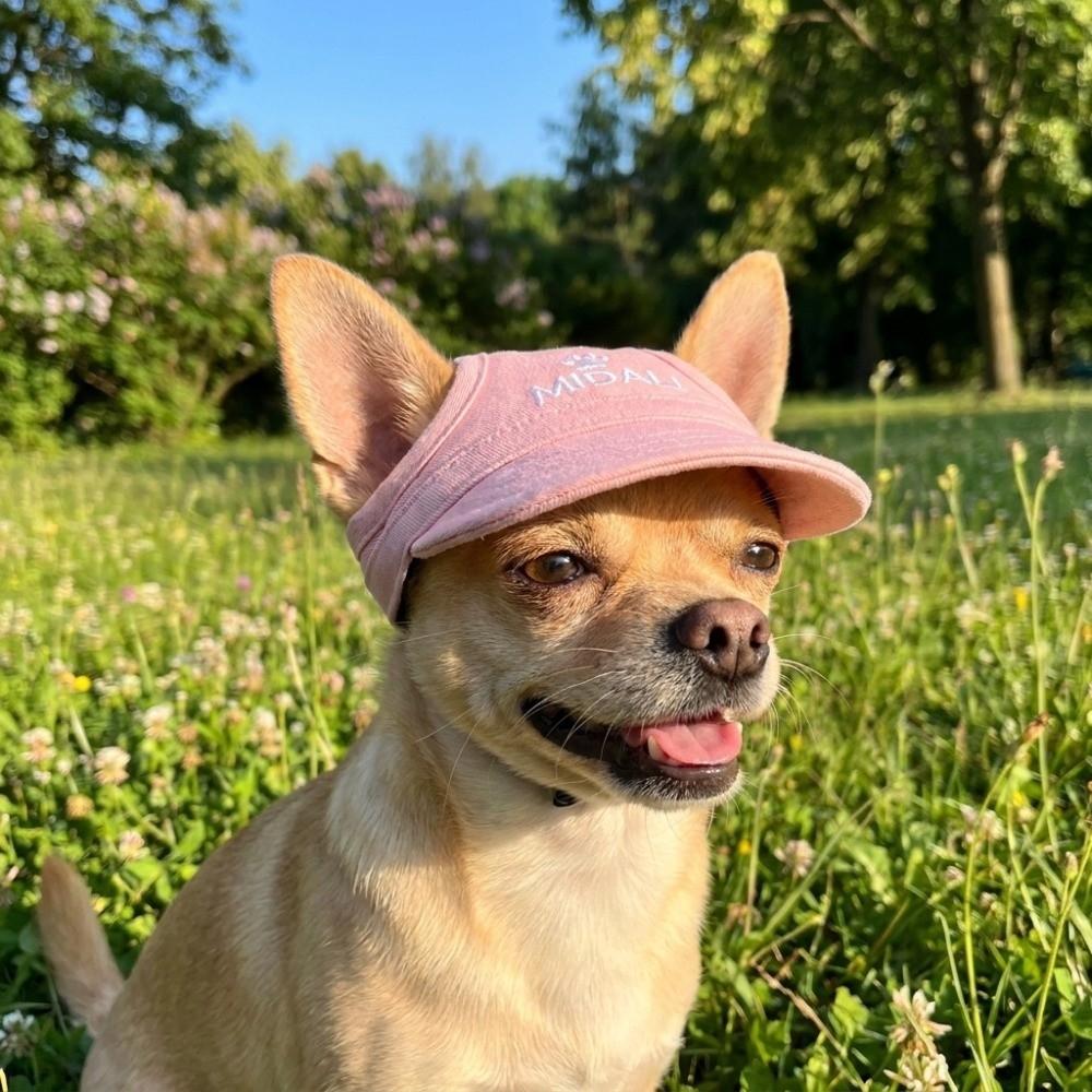 Adjustable Cat Sun Hat Wide Brim Dog Baseball Cap Pet Sports Hat Dog Sunscreen Cap Daily Outdoor