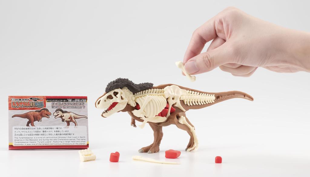 MegaHouse Disassembly Puzzle Science Tyrannosaurus Rex Restoration Puzzle