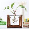 Vintage Glass Vase Transparent Hydroponic Plant Vase with with Wooden Stand for Tabletop Home Decor