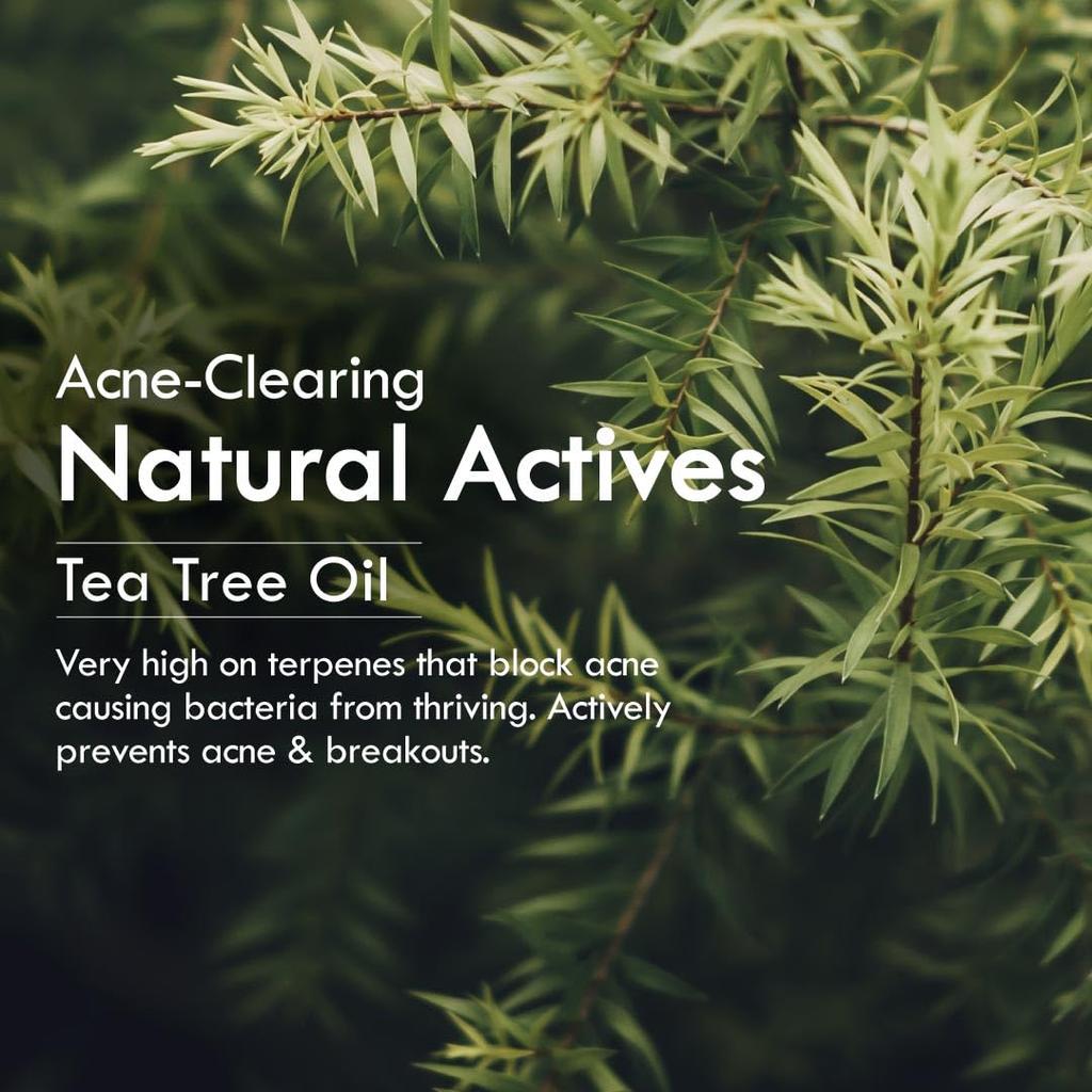 Nat Habit Neem Gel Face Wash For Oily Skin Acne, Pimple And Oil Control , Sulpahte Free Face Cleanser For Men & Women, (100 G)