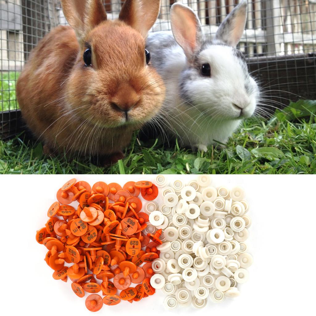 100 комплектов ушных бирок для кроликов, пронумерованных ушных маркеров, идентификационных бирок для животных, фермерских принадлежностей