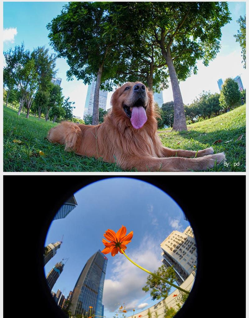 TTArtisan Meisho Optical Fisheye Lens with 180 Degree View for Canon Z Mount Camera Lens for Nikon ZFC Z6 Z7 Z50 Z5 Z6II Z7II Authorized Black 7.5mm