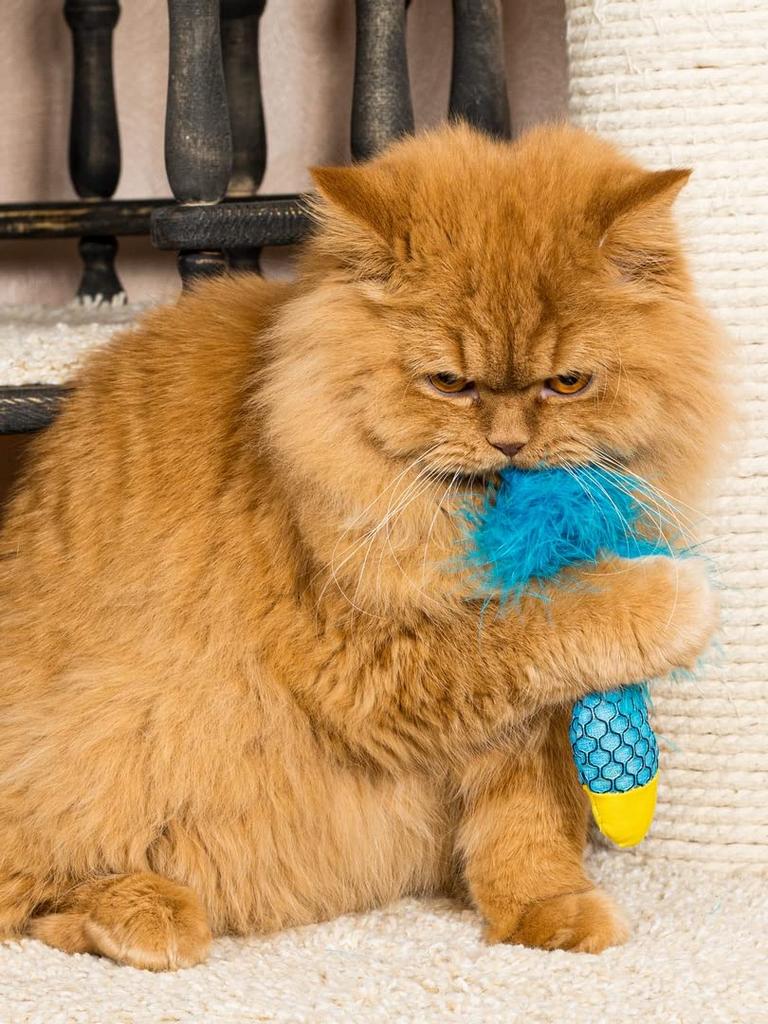 Игрушка для чистки зубов Nekomote 01 Рыбка