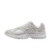 Air Pegasus 2005 SE 'Platinum Tint Metallic' IB2983-001