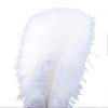 10PCS 45-50cm Colorful Big Feathers Ostrich Table Flower Table Flower Wedding Decoration Ostrich Feathers