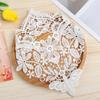 Dress Accessories Collar Neckline Accessories Lace Fabric Applique Embroidery Embroidered Lace