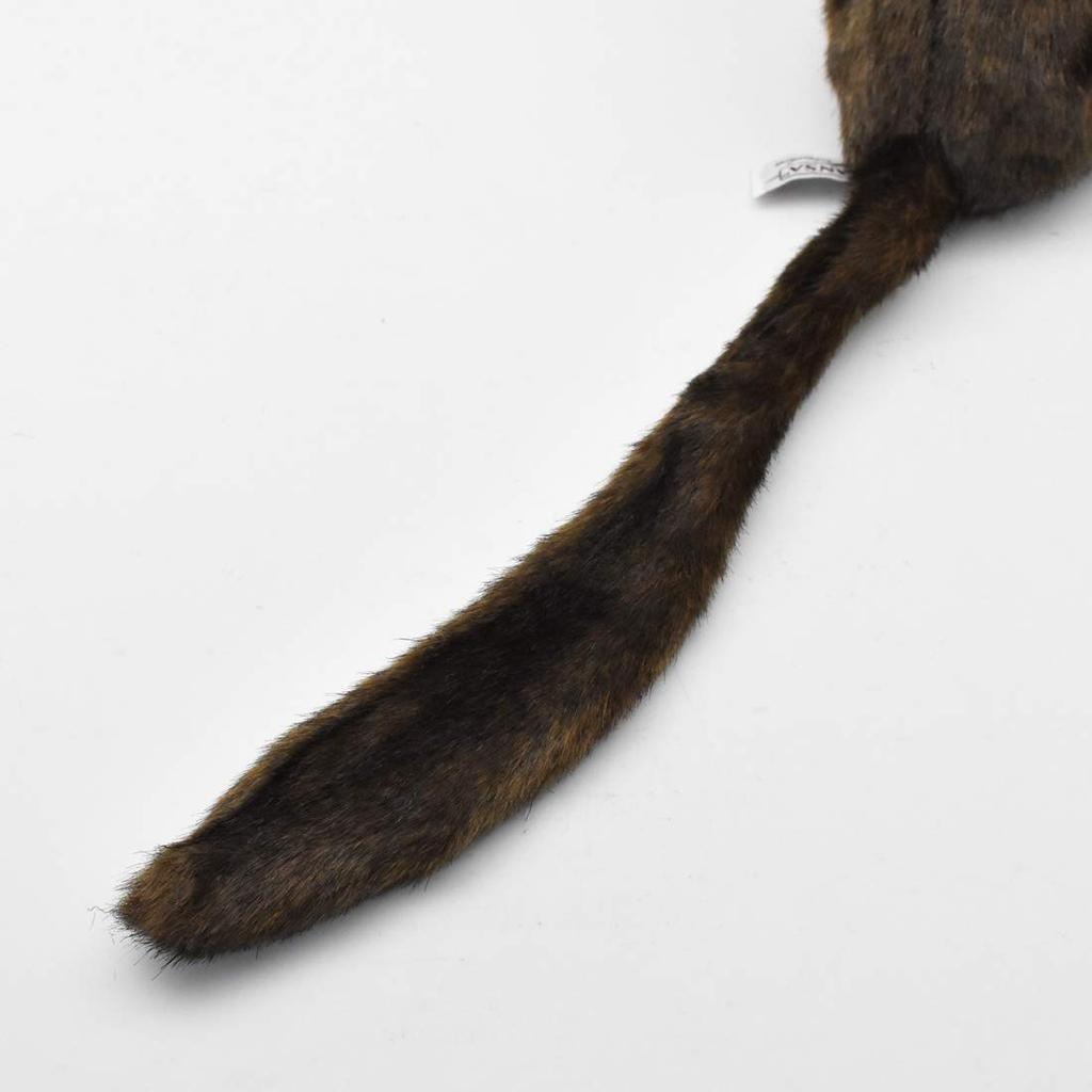 BH5166 HANSA AiAi 20