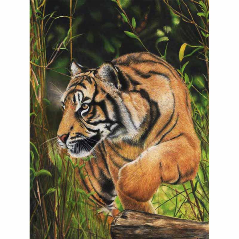 Новый 5D DIY алмазная живопись Тигр Алмазная вышивка животные вышивка крестиком полная квадратная круглая дрель ремесла домашний декор ручной подарок