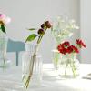 1pc Nordic Creative Transparent Vases Glass Plant Bottle Flower Pot Hydroponic Terrarium Arrangement Container Table Vase Decor