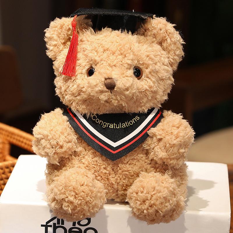 Doctor Graduation Teddy Bear Plush Toy with Hat, Customizable Logo