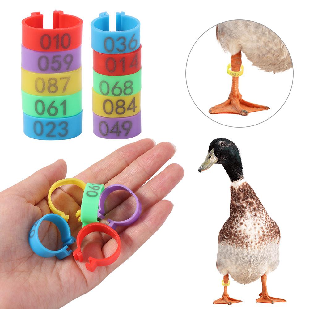 100pcs Portable Poultry Leg Tags Mixed Colour Plastic Band Foot Ring 16/20mm with Number Letter Poultry Ankle Bands
