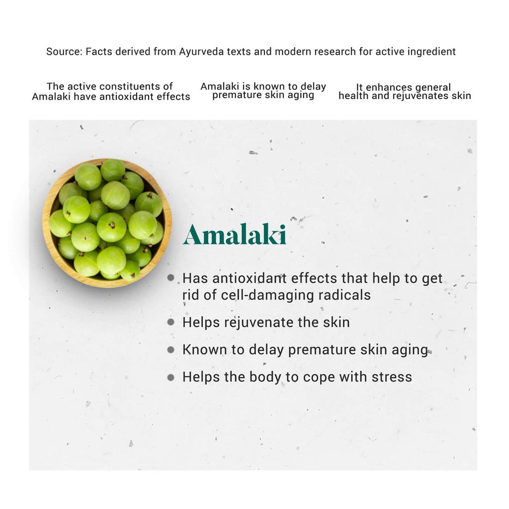Himalaya Immunity Wellness Таблетки Амла 60 штук Натуральная антиоксидантная добавка для ежедневного здоровья и поддержки иммунитета