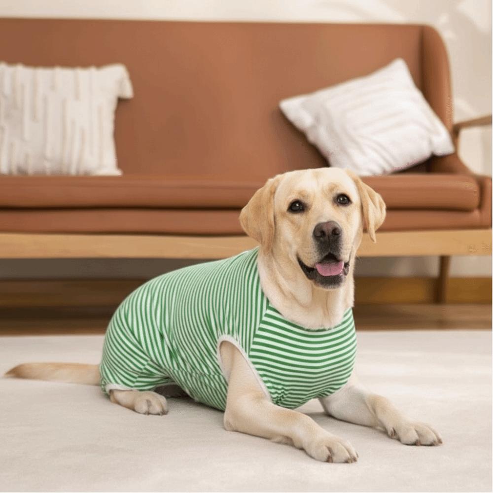 Striped Pattern Dog Recovery Suit Elastic Pet Surgery Suit Recovery Shirt  Medium Large Dogs Pet