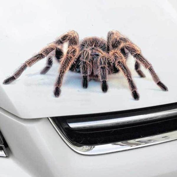 Стильные милые крутые 3D наклейки на автомобиль в виде паука, мультяшные креативные наклейки для украшения, ARI