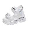 Fashion 2024 New Summer High Platform Women Sandals Buckle Wedges Bling Shoes Fashion Outside Chunky Sandals Beach Casual Slides Woman