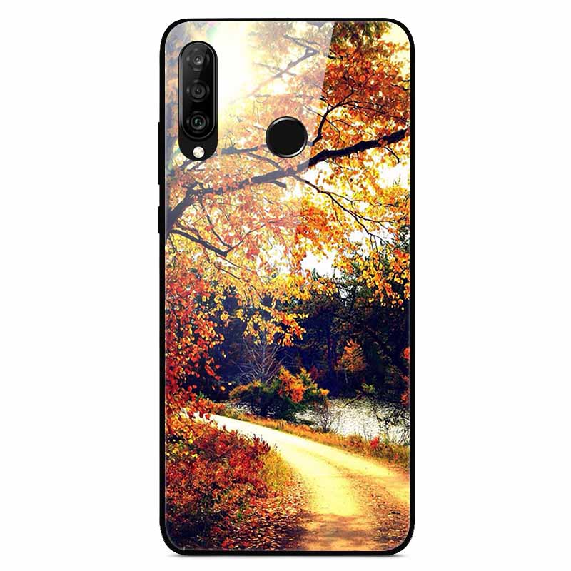 Для чехлов Huawei P30 Lite P30Pro P20pro P20Lite Роскошные закаленные стеклянные жесткие задние чехлы для Huawei P20 Pro P30Pro Fundas Capa P20