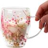 Heat Resistant Dried Flowers Glass Mugs Gypsophila Flower Cup Creative Coffee Mug  Home&Office