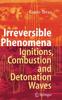 Книга Irreversible Phenomena : Ignitions, Combustion and Detonation Waves