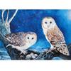 DIY Алмазная картина Полный алмаз животное Сова Алмазная вышивка Набор для вышивки крестом Украшение дома Настенное искусство Подарок
