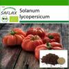 Органический - Помидор - Руж де Марманд - 10 семян - С горшечным субстратом для лучшего выращивания - Solanum lycopersicum
