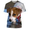 Jack Russell Terrier 3D Print Short Sleeve Tee Summer Kid Top For Daily Play Outdoor Gathering Leisure Daily Trip Wear