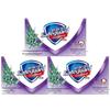 Очищающее травяное мыло «Защита полыни» (3-Pack)