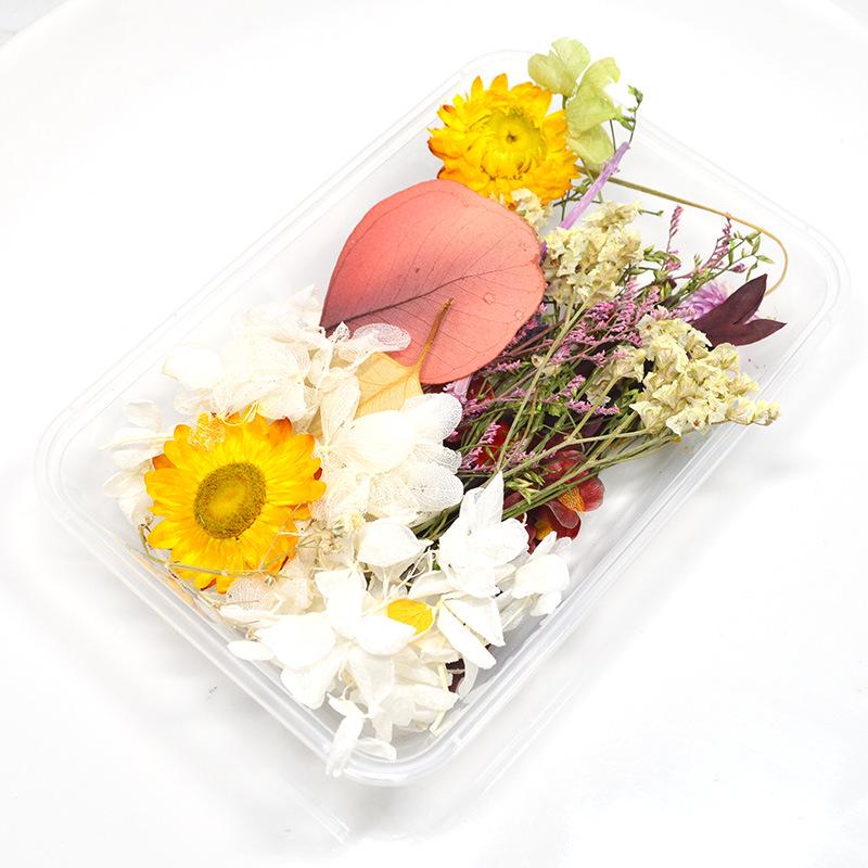 Набор для самостоятельной работы: Разнообразие натуральных стабилизированных цветов для букетов в подарок на День святого Валентина