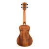 KALA Ukulele Solid Acacia Series Acacia Body Concert successor All-Solid KASA-C-WCASE20_06 [KA-SA-C model] (Case included)