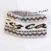 In autumn and winter, Maillard headband, women's forehead protection, daily wear warm hair accessories, thin windproof headgear, headband.