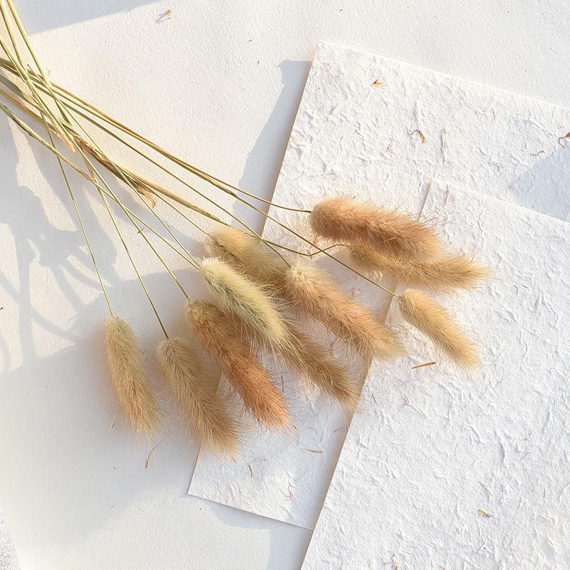 Wheat and Bunny Tail Grass Floral Photography Props