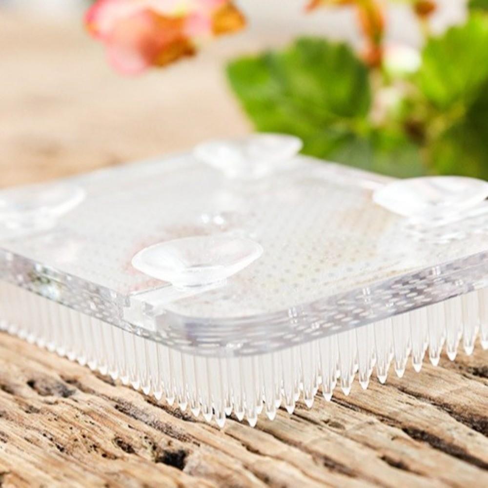 Round Flower Arranger Rectangle Pin Frog Holder Creative Fixed Arranging Tool  Flower Arranging