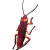 Soft Realistic Cockroach Plush Pillow For Gag Gifts Filled With Pp Cotton