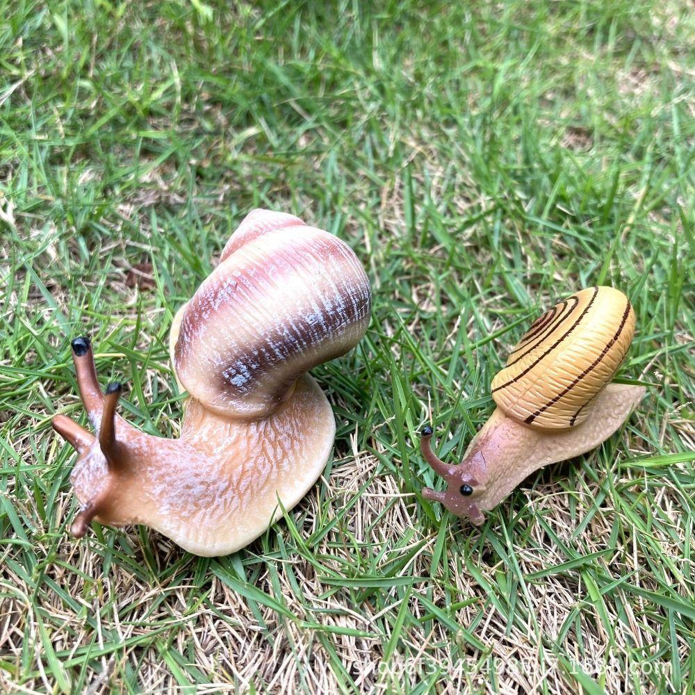 Cognitive Puzzle Science Education Snail Model Garden Decoration Simulation Insect Snail Statue