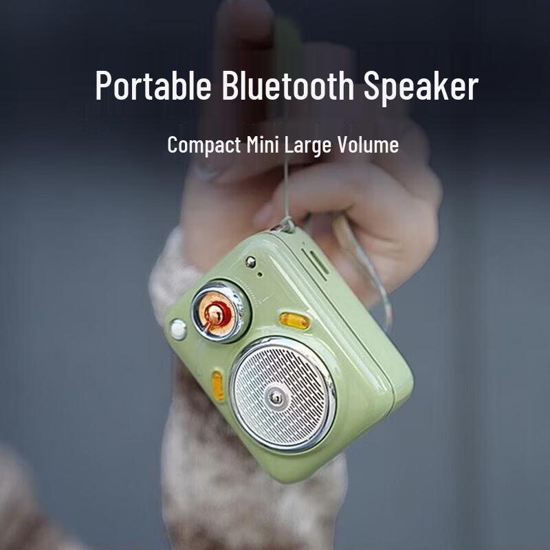 Divoom Beetle HiFi Portable Bluetooth Speaker CN plug (adapter included) (CN version)