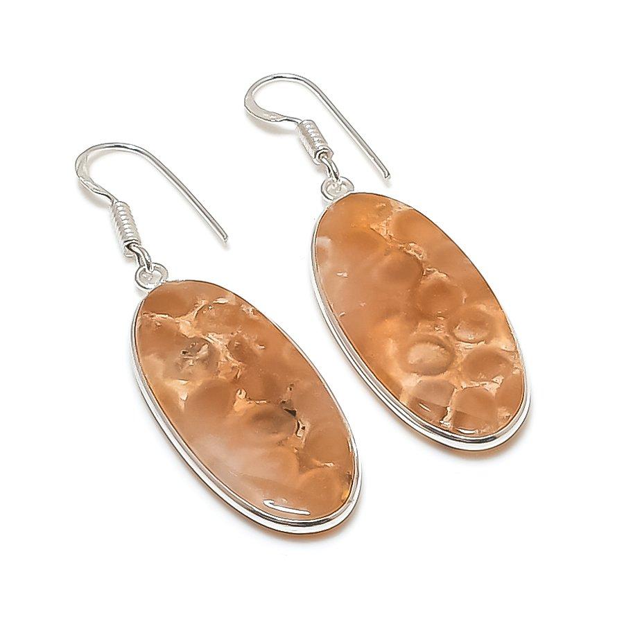 Natural Fossil Coral Gemstone 925 Sterling Silver Jewelry Earring 2.01" AE-12277