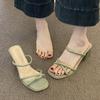 Niche Thick Heel Cool Slippers Outer Shoes Summer New Thin Strap Mid Heel with Skirt Sandals