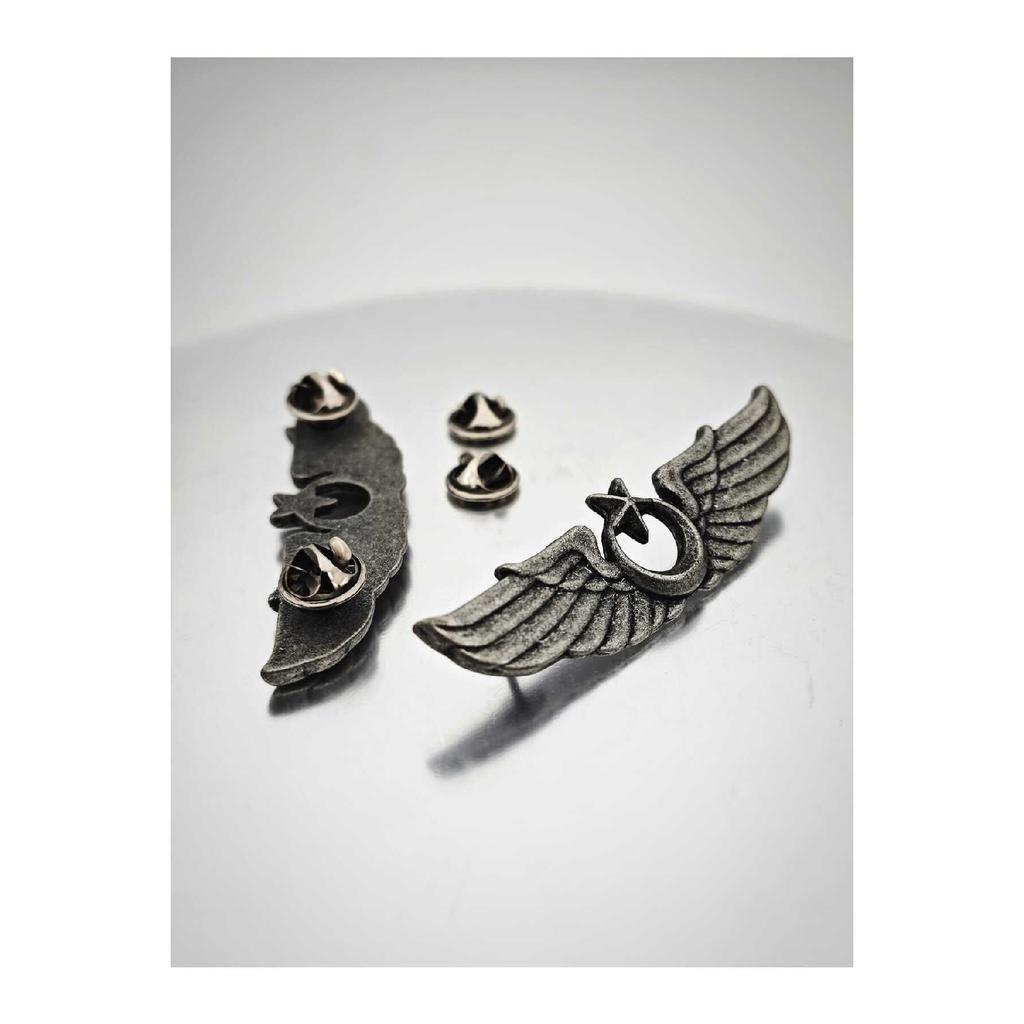 Air Force Pilot Badge Badge Silver Oxide 7.5cm