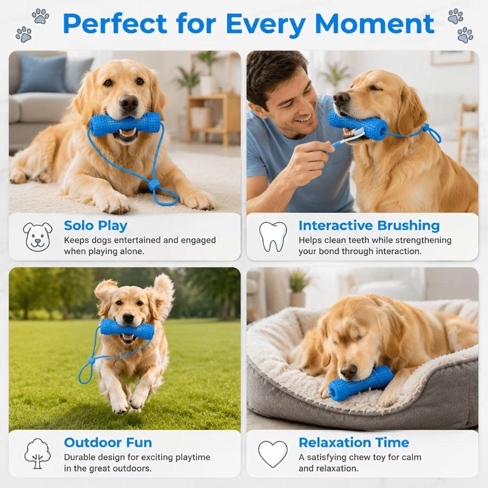 Prevents Tooth Decay Dual-Action Canine Dental Prop Dog Toothbrushing Toy  for Medium Small Dogs