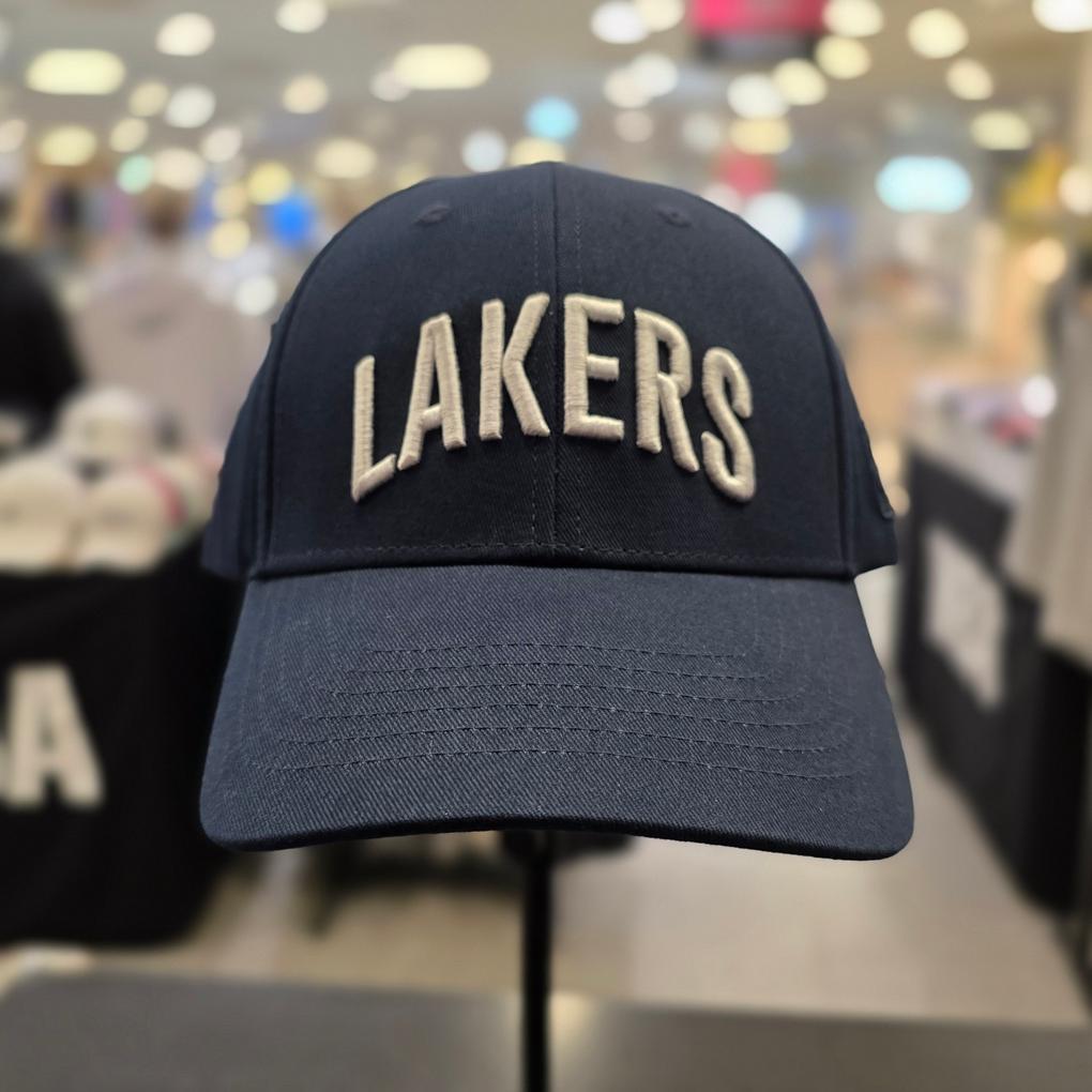 celtics NBA Team Logo Arched Embroidered Ball Cap N255AP450P