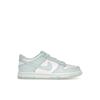 Dunk Low GS Glacier Blue Kids Sneakers White FB9109-105