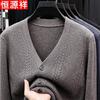 Men's Pure Wool V-Neck Pullover Sweater