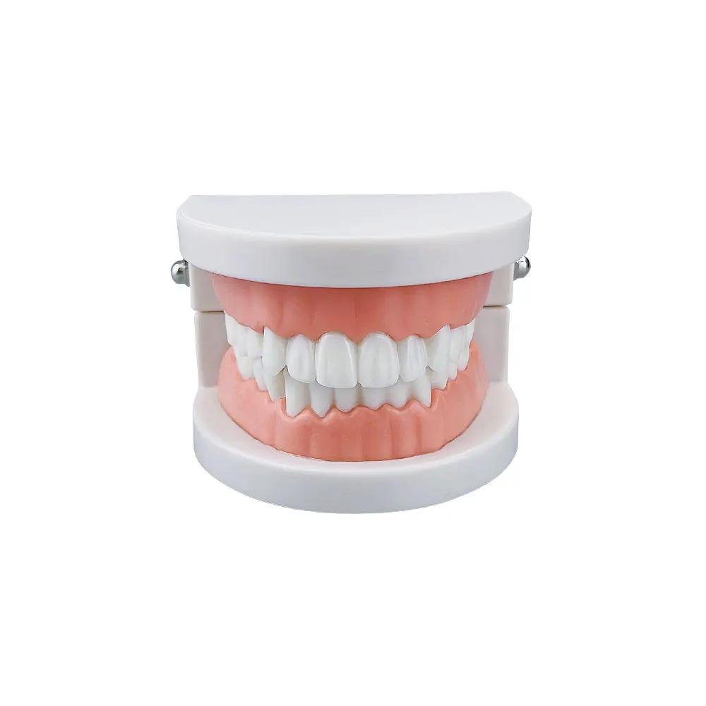 Azdent Dental Model Training Typodont Teeth Model For Dental Technician Practice Teaching Gum Teeth Jaw Model Resin Lab Tools
