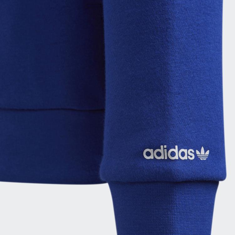 Adidas Originals Sweatshirt ADICOLOR Kids' H14154