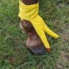 1 Pair Horse Decor Boots Hooves To Feet Horseshoe Wrapped Wear Resistant Easy Wear Horse Hoof