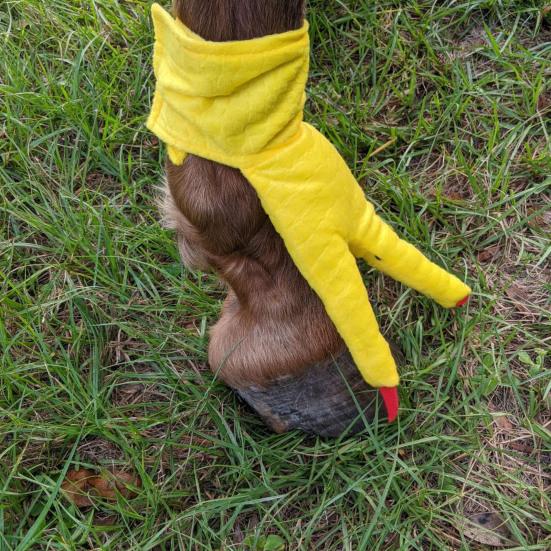 1 Pair Horse Decor Boots Hooves To Feet Horseshoe Wrapped Wear Resistant Easy Wear Horse Hoof