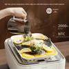 Toshiba ES-20MSTC 17L Double-Layer Multi-functional Electric Steamer CN plug (adapter included)