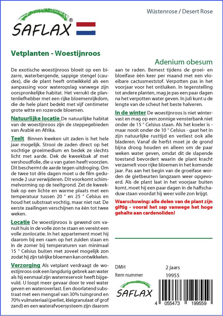 SAFLAX Garden in the Bag - Роза пустыни - 8 семян - С субстратом в подходящем пакете - Adenium obesum