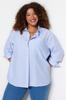 Women's Style Plus Size Blue Striped Poplin Shirt