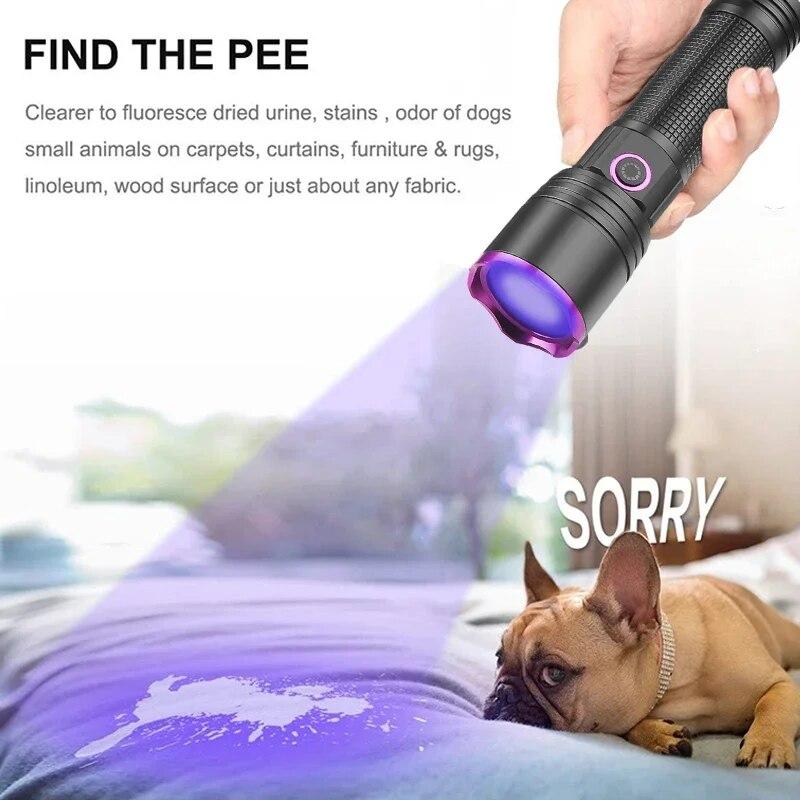 Professional 365nm UV Flashlight Type C Rechargeable Filtered LED Ultraviolet Detection Torch Pet Pee Urine, Rocks Gem Money Detector